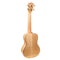 23 Inch Tiger Veins Maple Hawaii Concert Ukulele